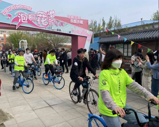 焦点测速：共享单车车篮里开出鲜花 北京亦庄迎来泡桐花盛宴